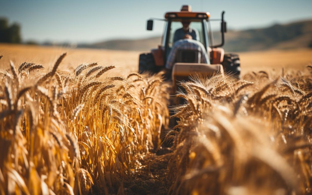 Celebrating National Ag Week and Water Conservation Efforts in the USA