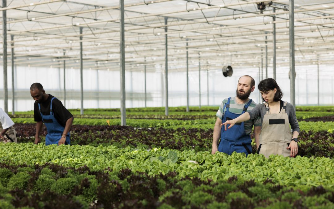 Cultivating tomorrow: How farmers can adopt more modern irrigation technologies