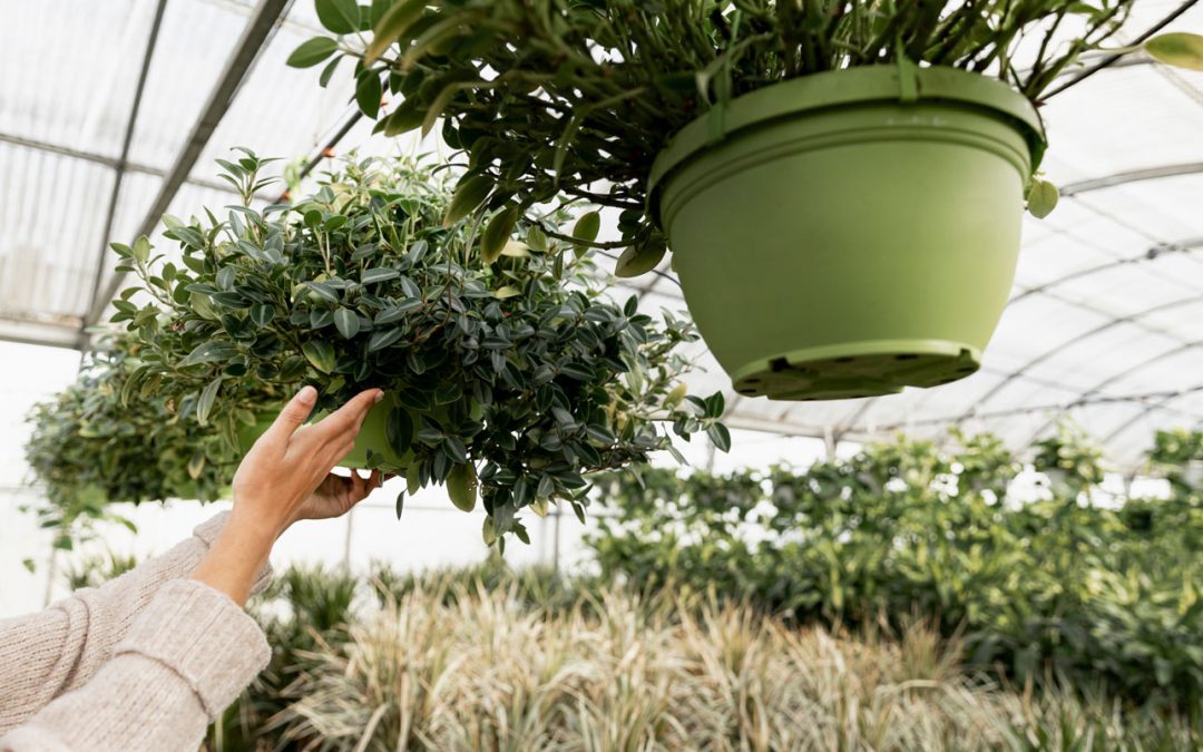 Water-Wise Gardening: How to Save Water in Your Garden