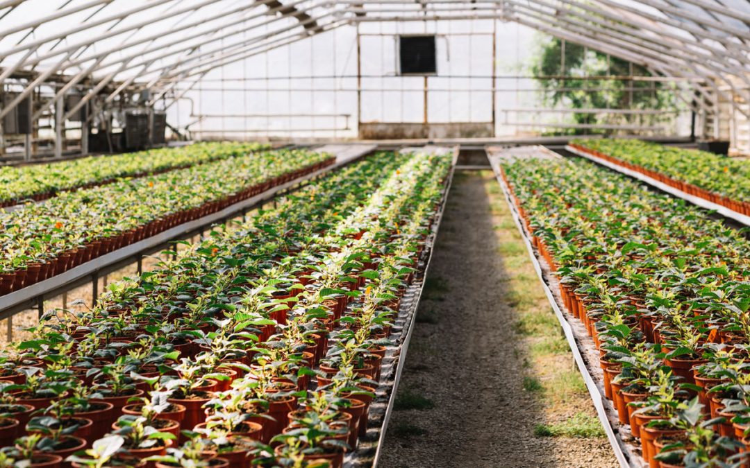 Benefits of Modern Irrigation Methods You Need to Know!