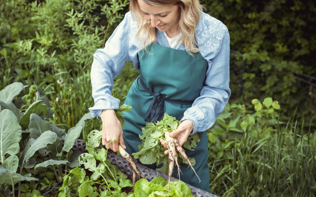 Top Tips to Achieve More Sustainable Living: Water Conservation