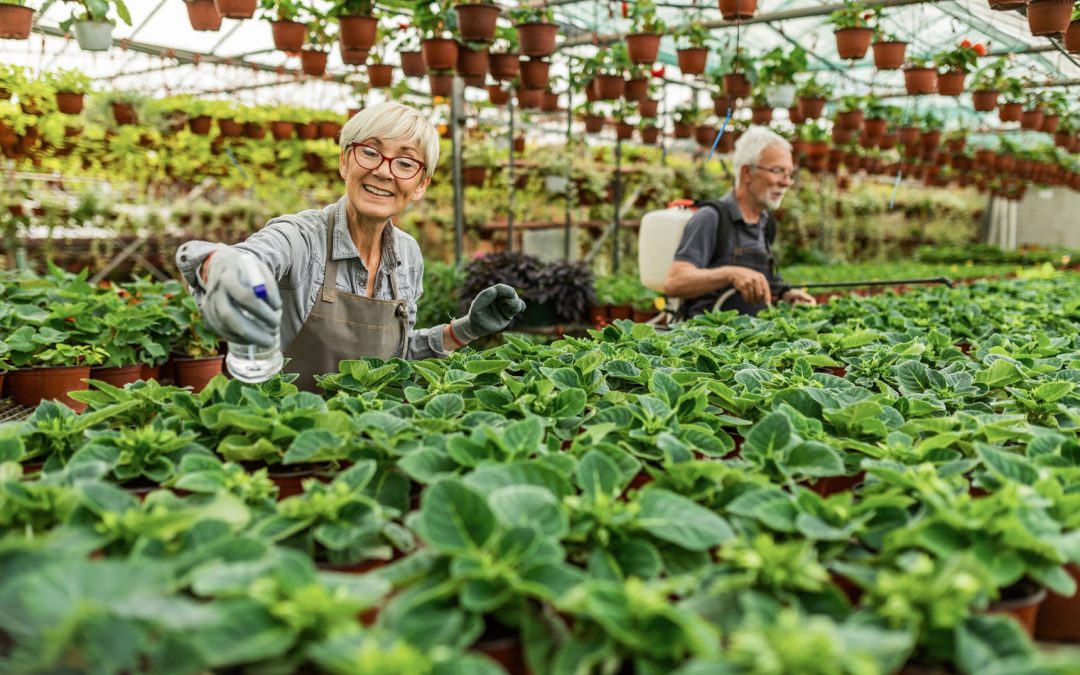 Dirt-Cheap Tips for a Gardening Beginner