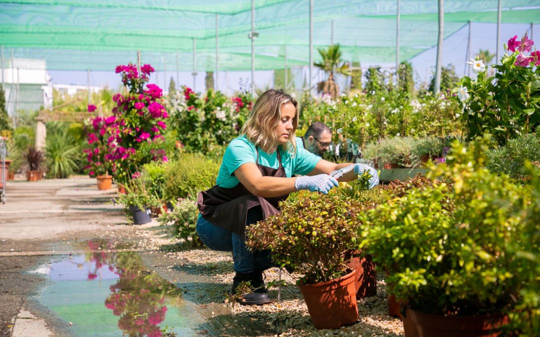 Sustainable Cost-Saving Tips for Nature Centers
