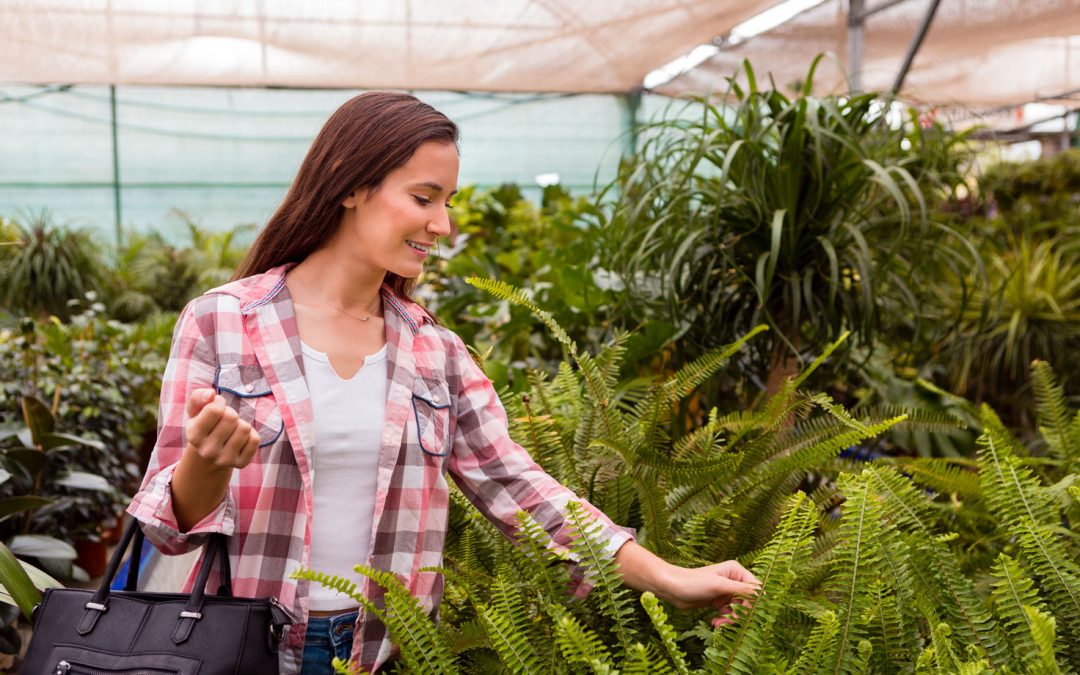 Reducing Operational Costs with Solar Power at Nature Centers