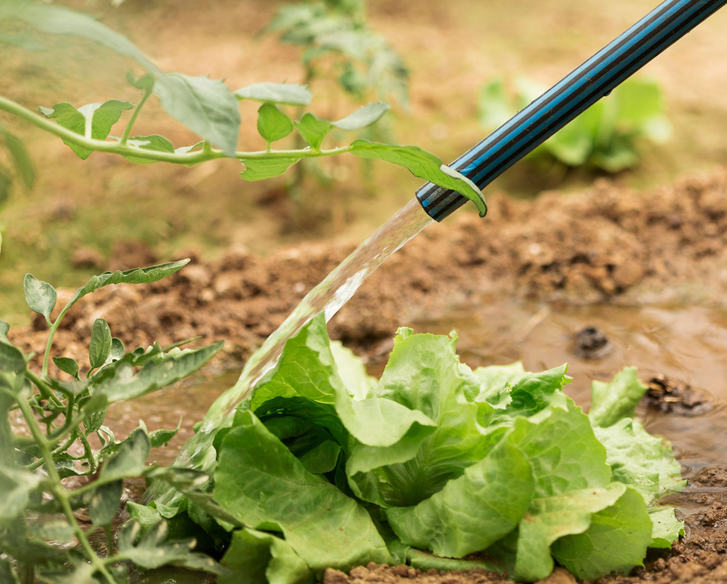 What is Solar Power and How Does it Work with Water Movement?