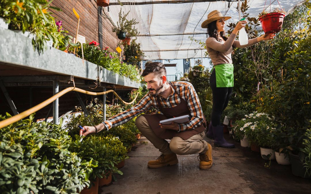 The Distributor’s Guide to Selling Solar-Powered Water Pumps
