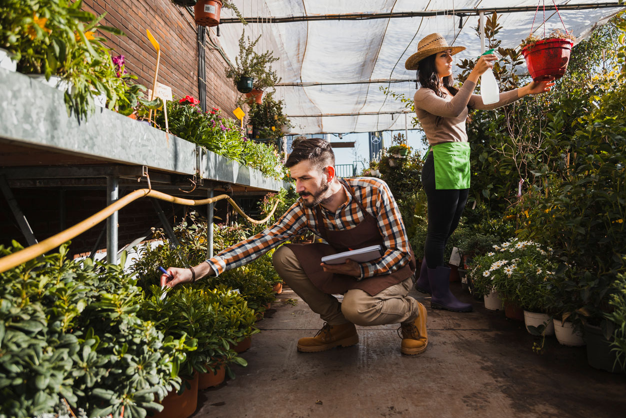 The Distributor’s Guide to Selling Solar-Powered Water Pumps