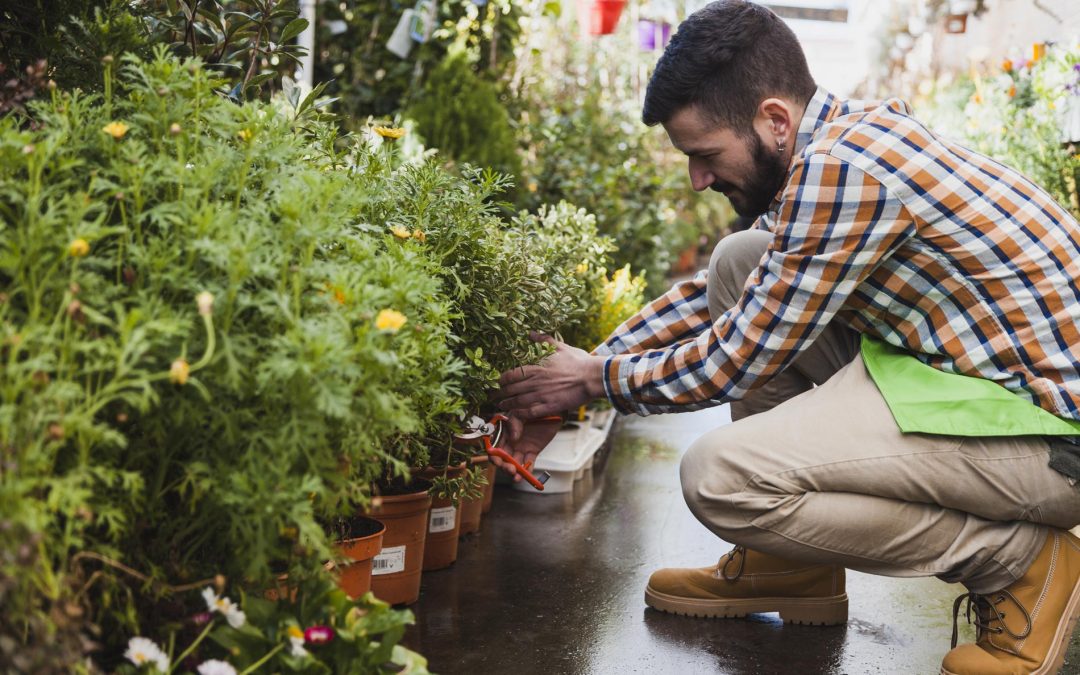 What Type of Irrigation System is Best for Your Garden?
