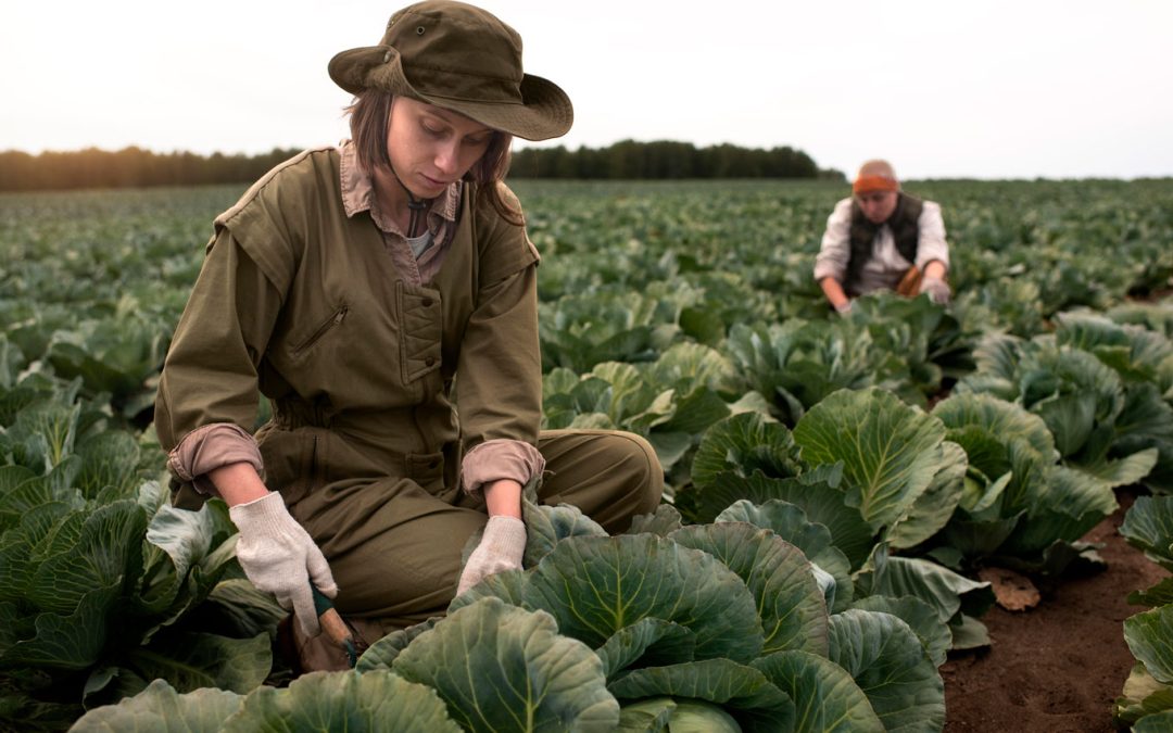 How Farmers Are Using Off‑Grid Irrigation To Grow More With Less