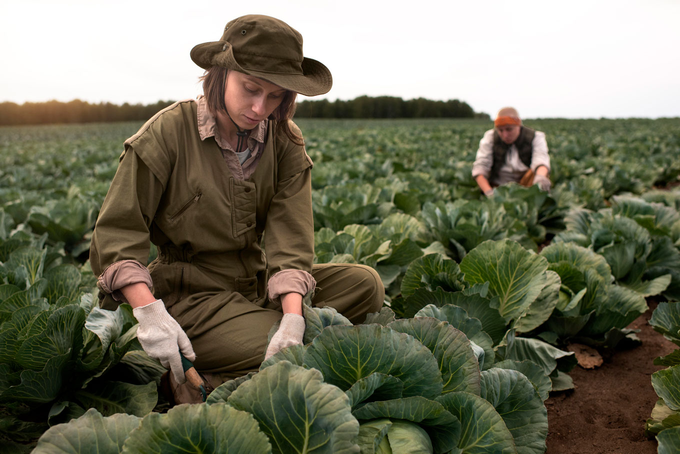 How-Farmers-Are-Using-Off‑Grid-Irrigation-To-Grow-More-With-Less How Farmers Are Using Off‑Grid Irrigation To Grow More With Less